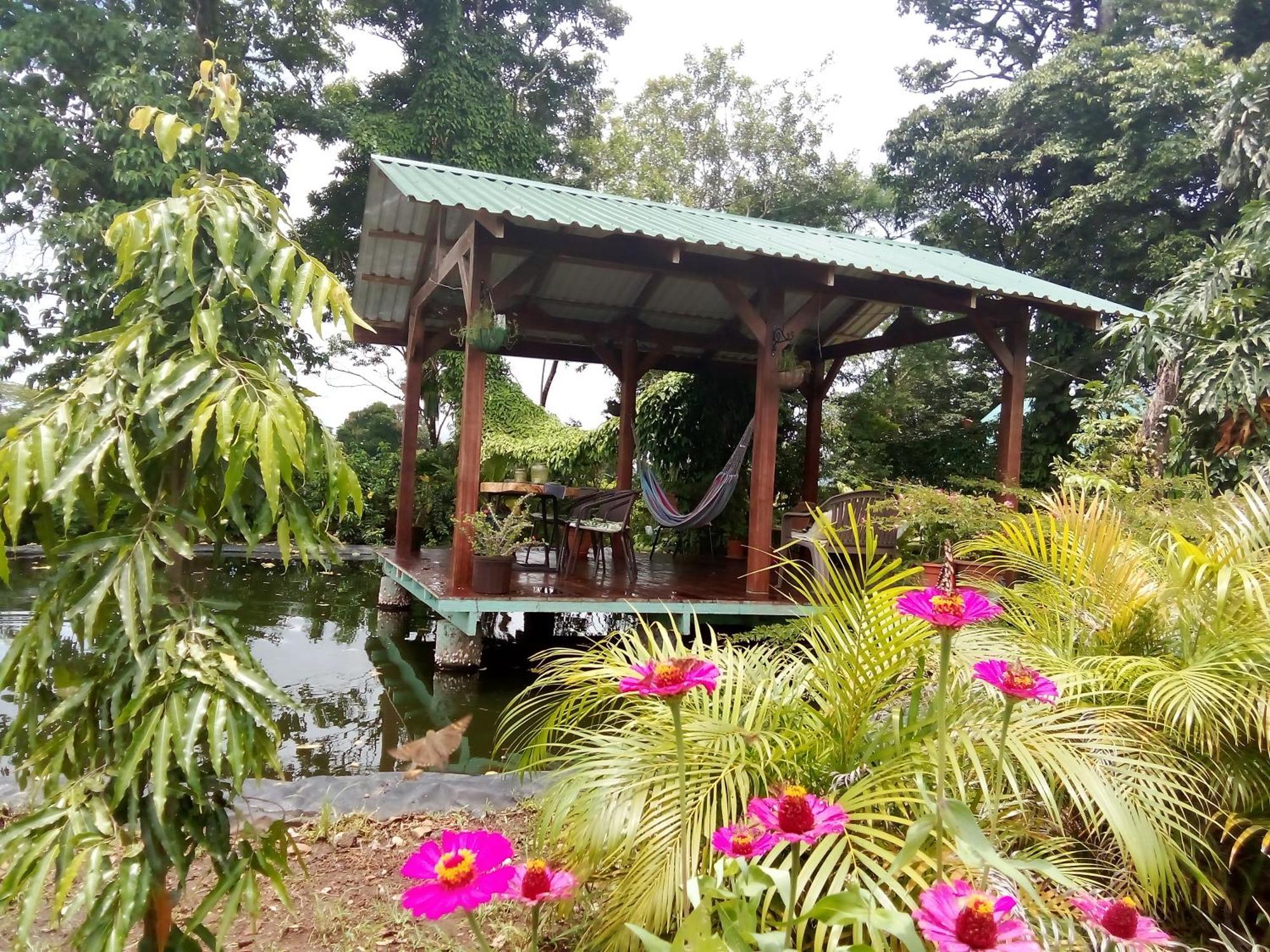 Greenhouse Loft Miravalles Aguas Claras  Exterior foto